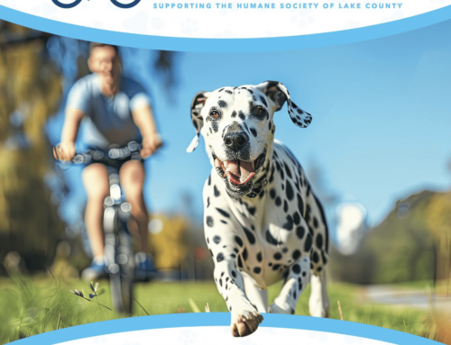 Pedal for Paws: Cycling for a Cause Returns to Support the Humane Society of Lake County